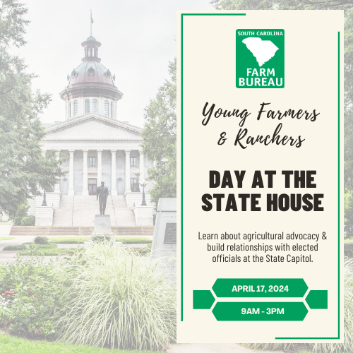 Day at the State House Graphic