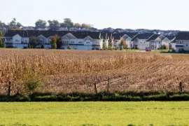 Homes with large field in foreground