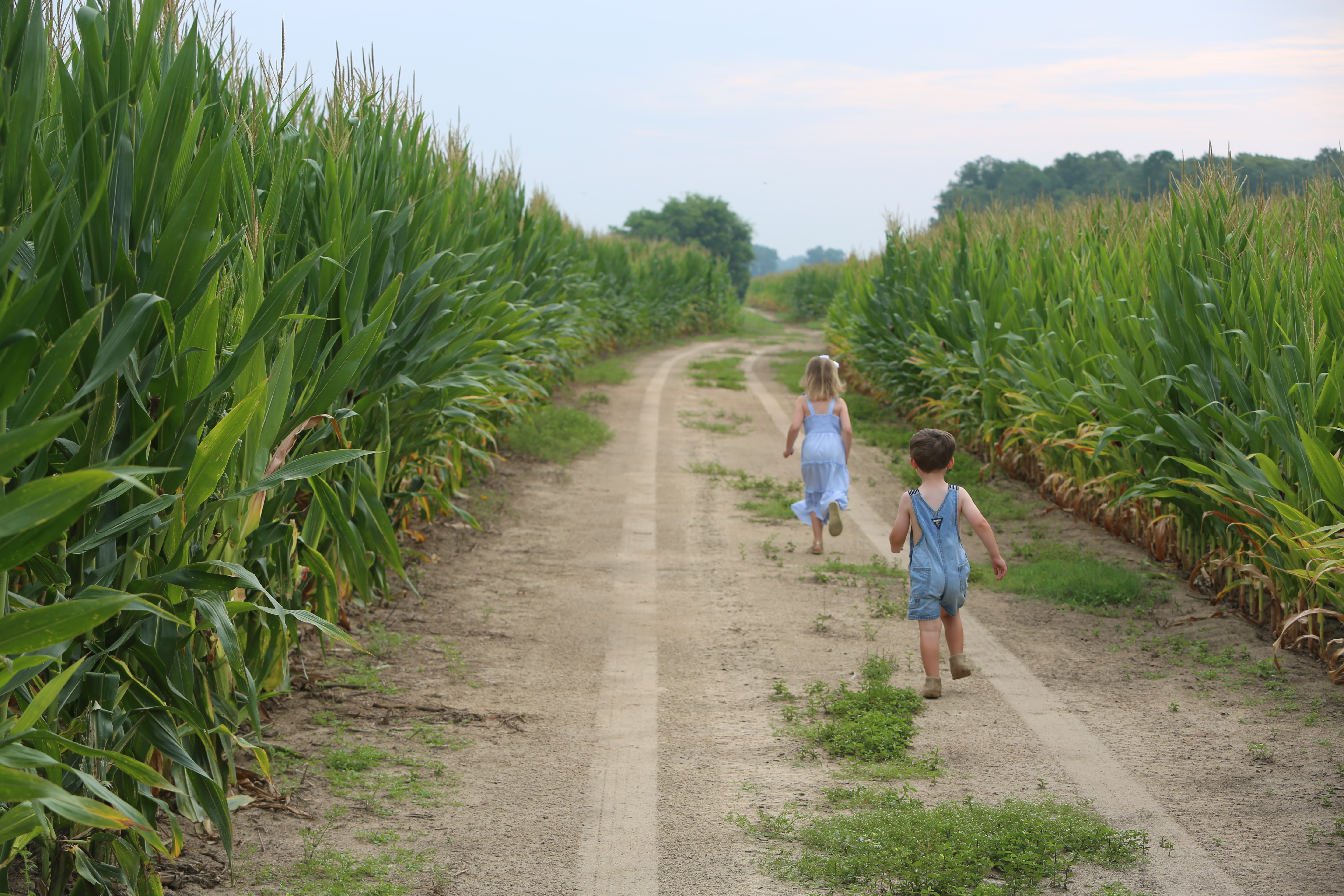 People on the Farm: Sally Harrison, Saluda