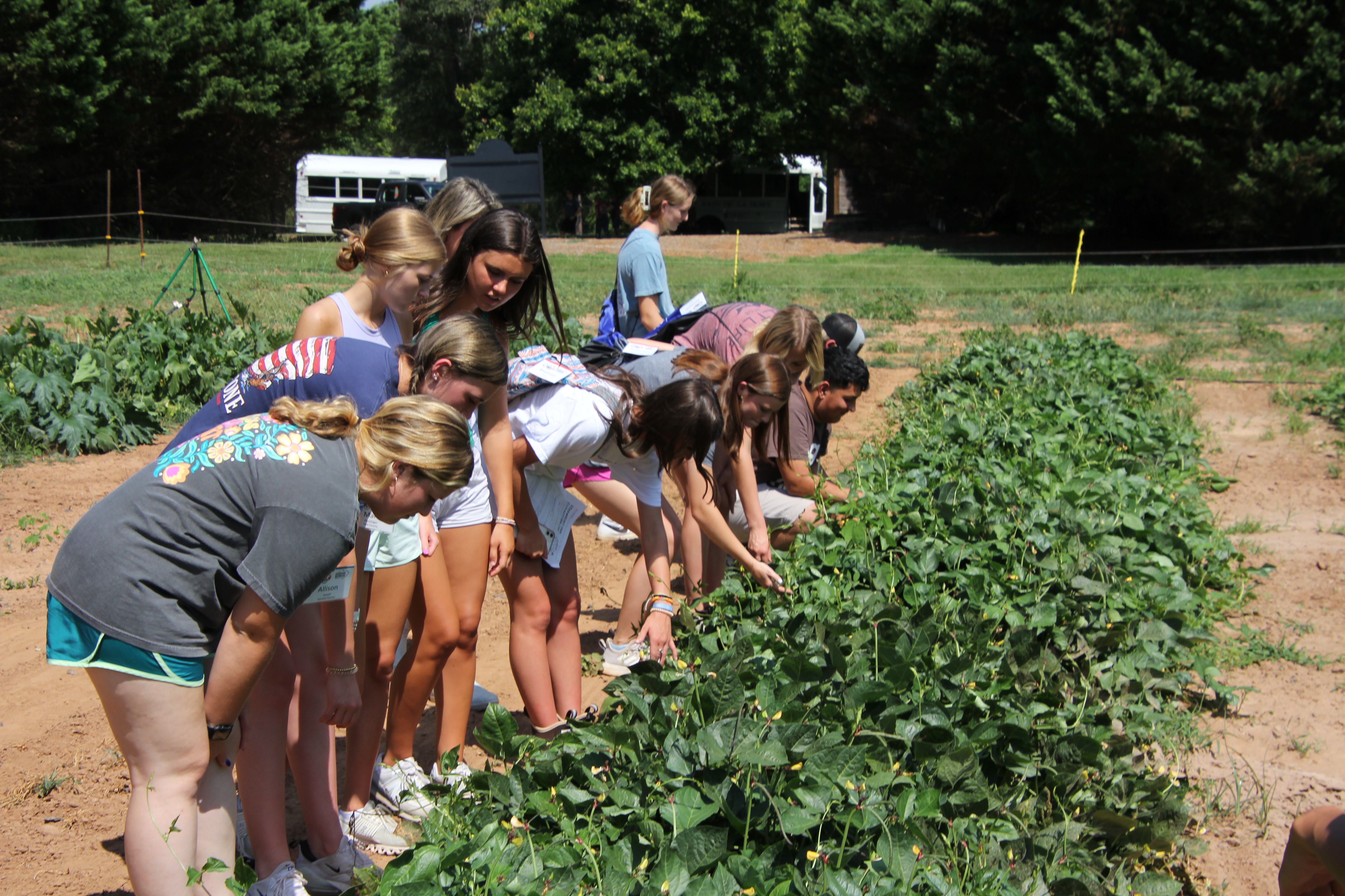 Learning about agriculture at YLC