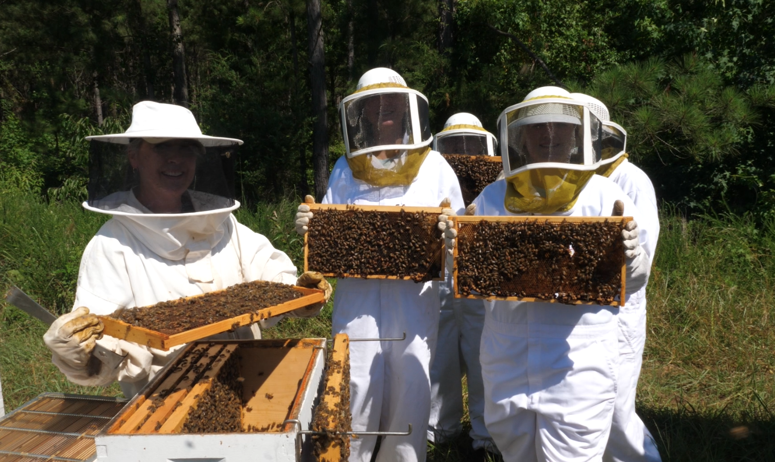 Bee Keeping at YLC