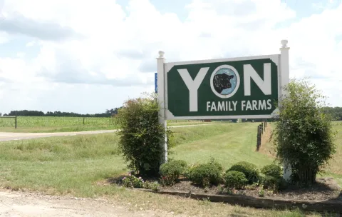 Yon Family Farms Sign