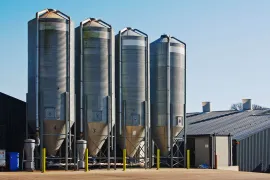 Feed silos